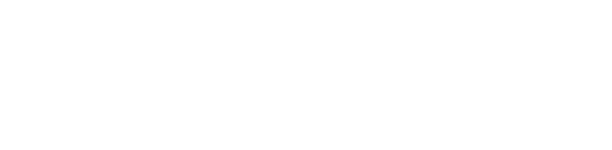 昴エージェンシーの事業